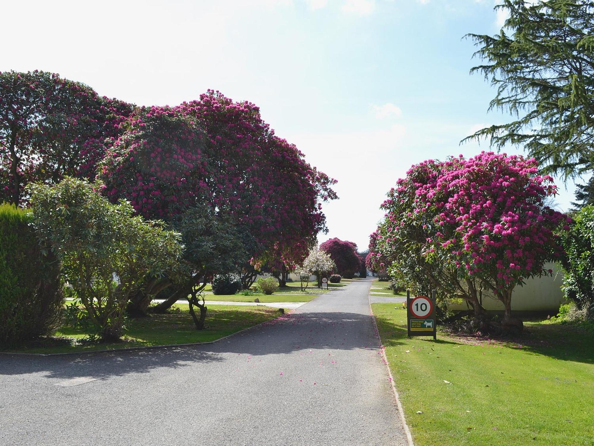 Tresco - B6520 Saint Cleer Exterior foto